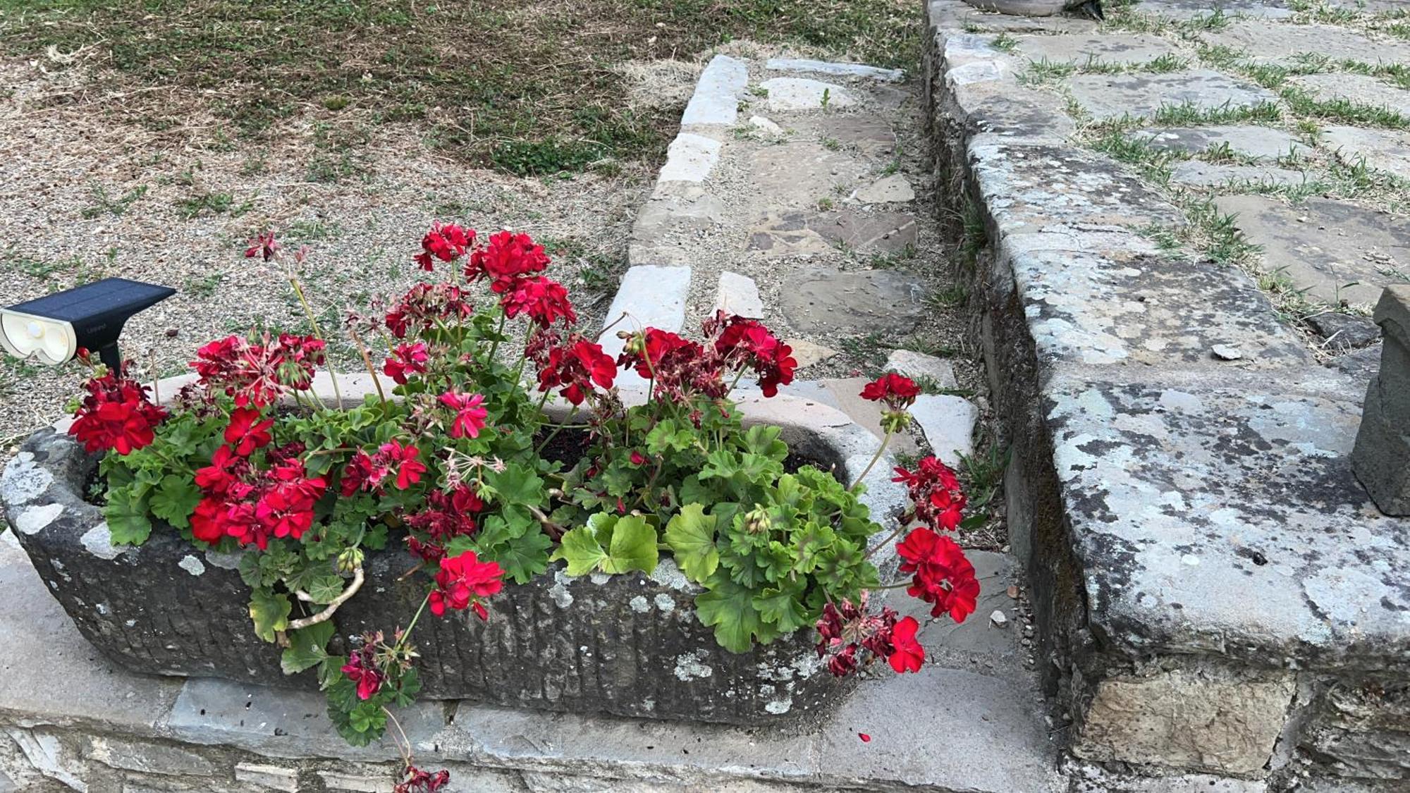 Joy Home Antella Kültér fotó